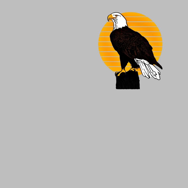 Bald Eagle - Bird Eagle Graphic Design