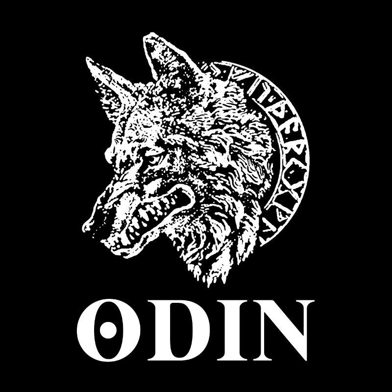 Viking Tshirt Viking Valhalla Valhalla God Odin