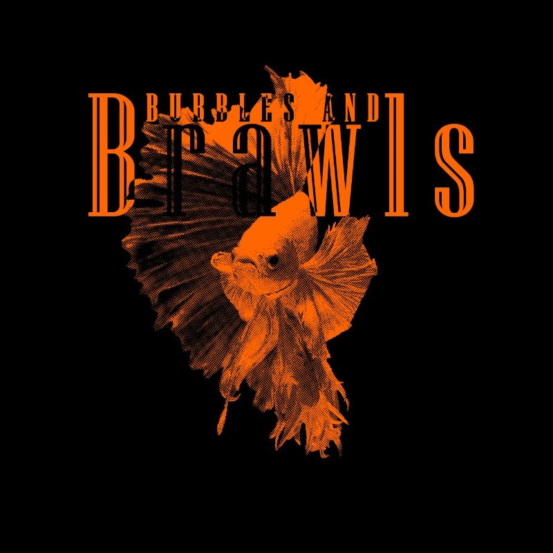 Betta Fish Bubbles And Brawls