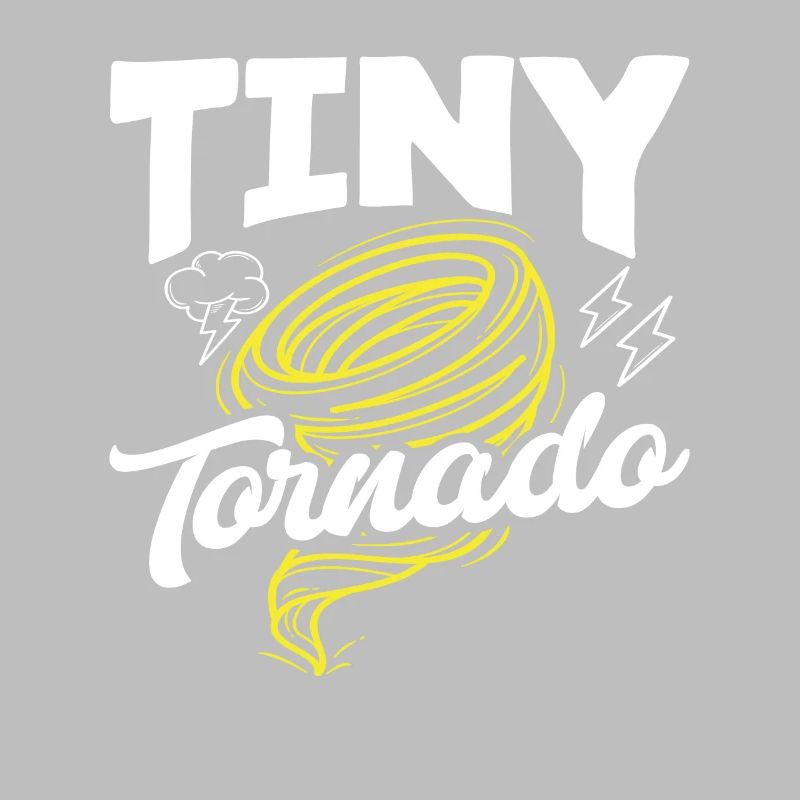 Small Tornado Storm Chaser