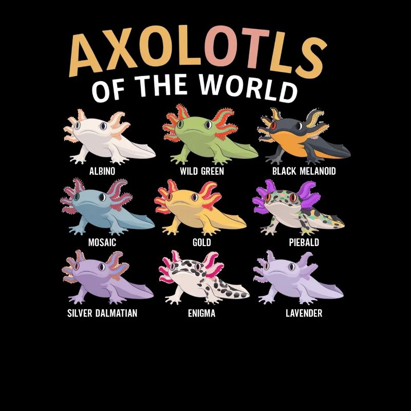 Axolotls Der Welt Süßer Anime Salamander