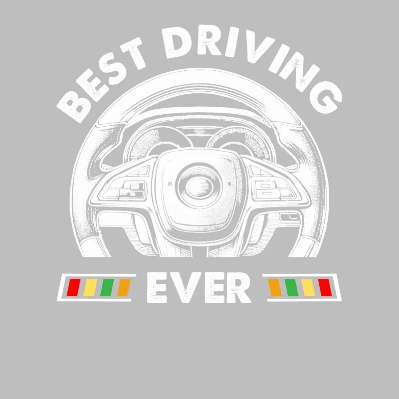 Driving School Driving Instructor