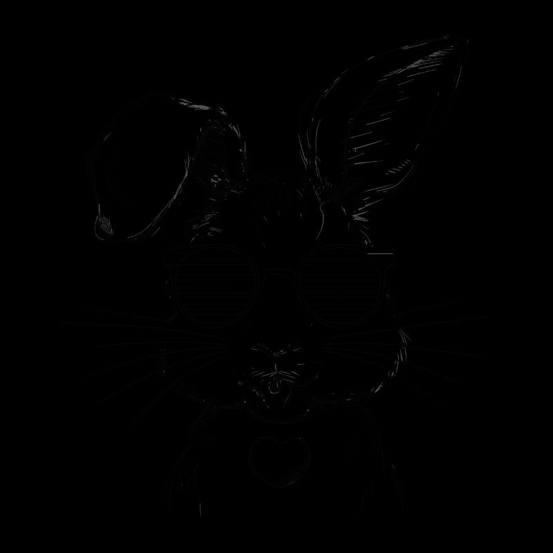 Lapin drôle lapin mignon lapin cadeau
