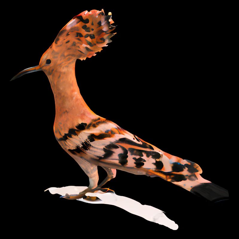 Wiedehopf Vogel Illustration