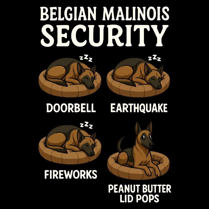 Malinois belge