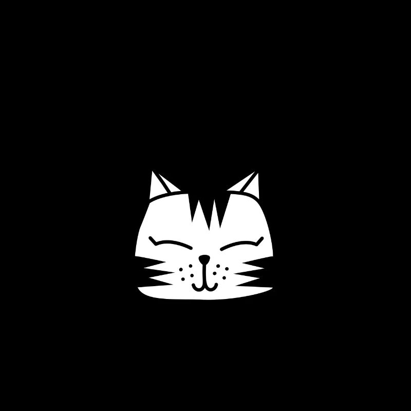 Je peux pas j ai des projets avec mon chat