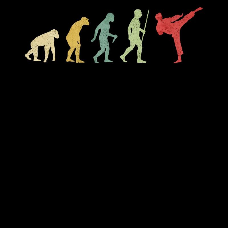 Karate High Kick Evolution