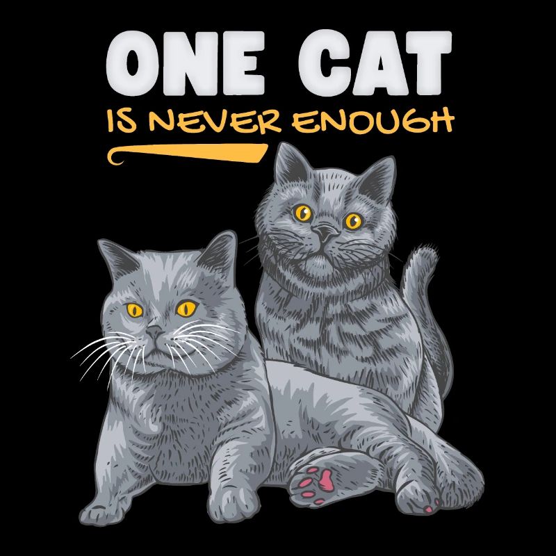 Lustige Katze, Britisch Kurzhaar, Katzen Spruch