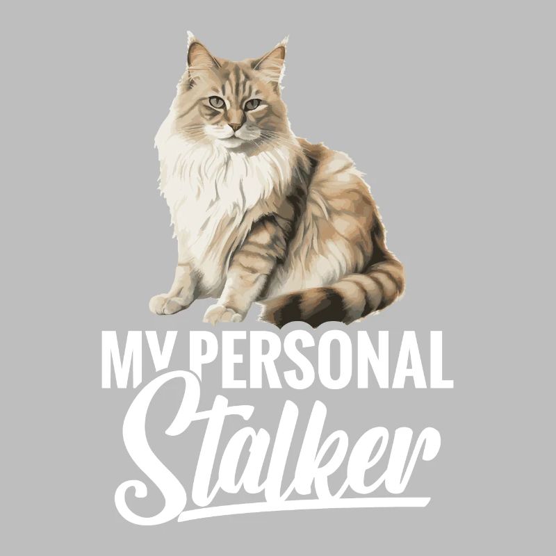 Cat: My personal stalker