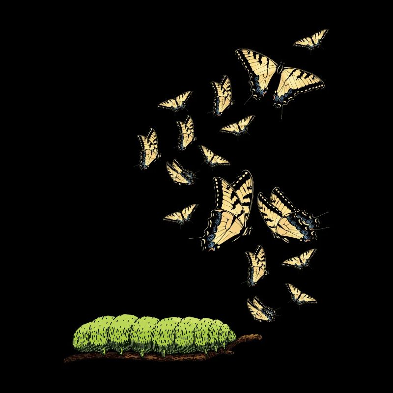 Les machaons tigrés, hmmm, ils ont changé