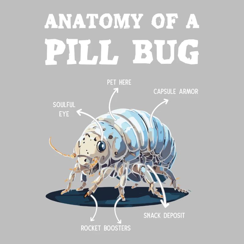 Anatomie Eines Pillenbugs