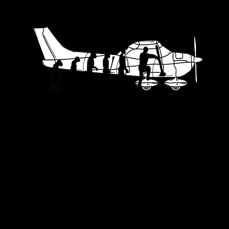 Evolution pilote pilote avion volant