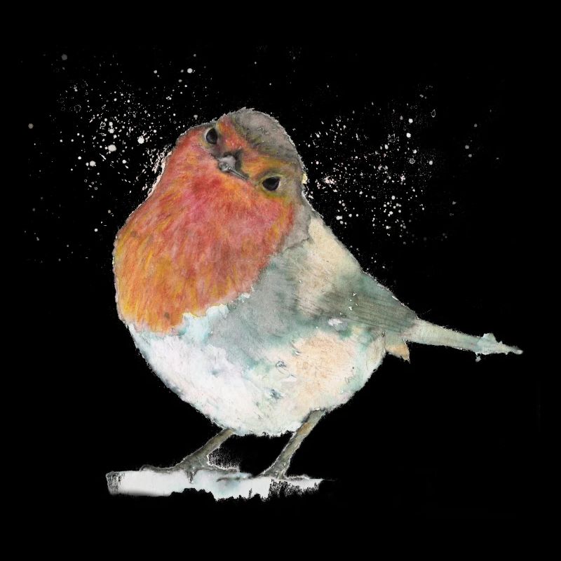 Rotkehlchen im Schnee