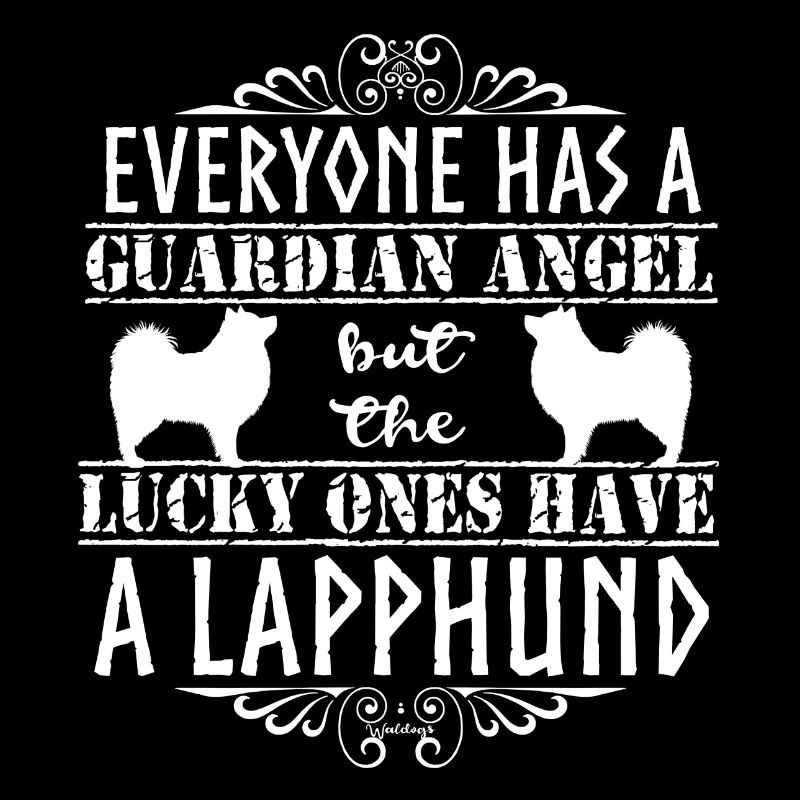 Finnischer Lapphund Engel