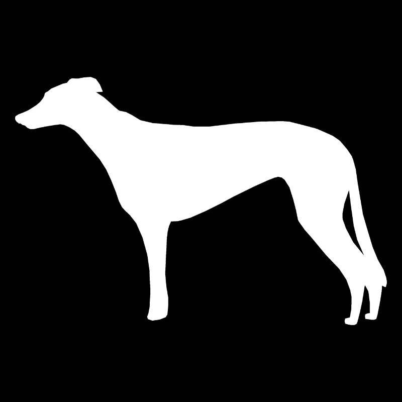 Galgo Espanol Galgo Español
