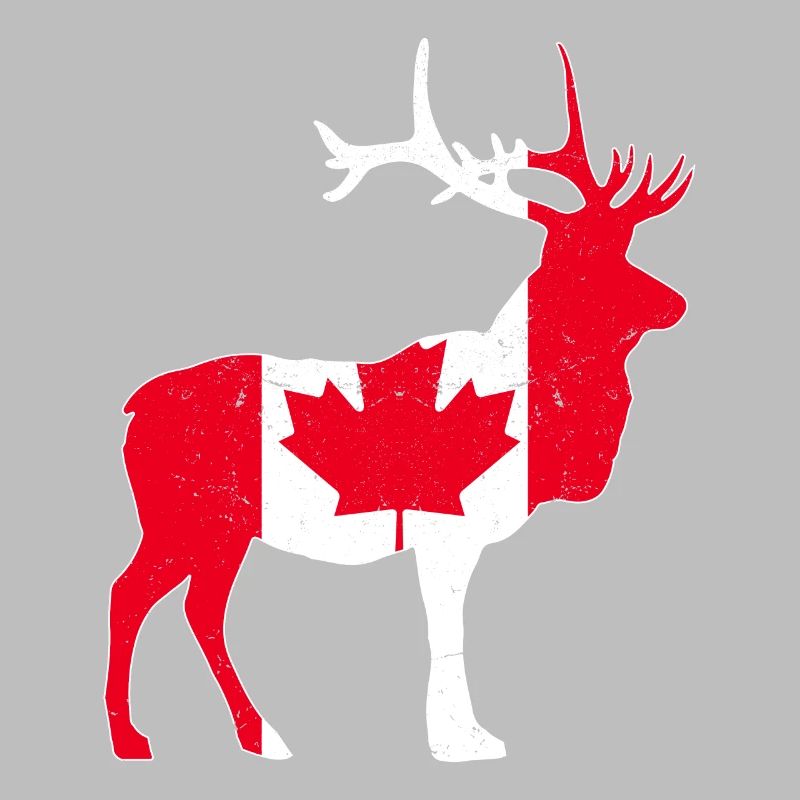 Canadian moose