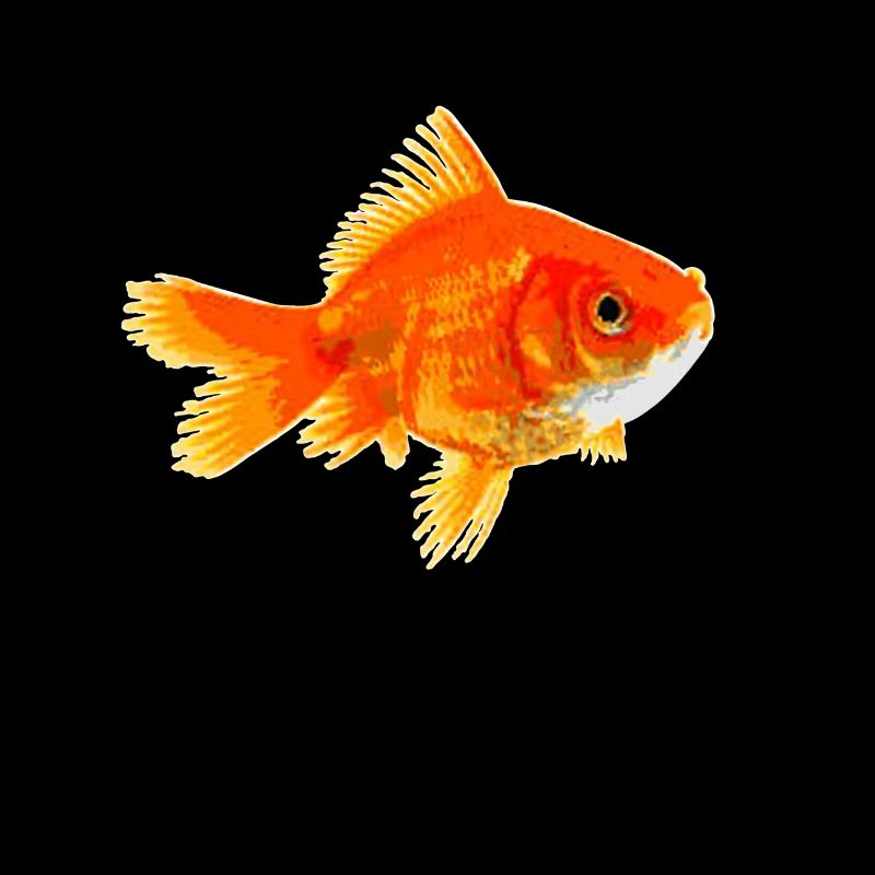 Goldfisch