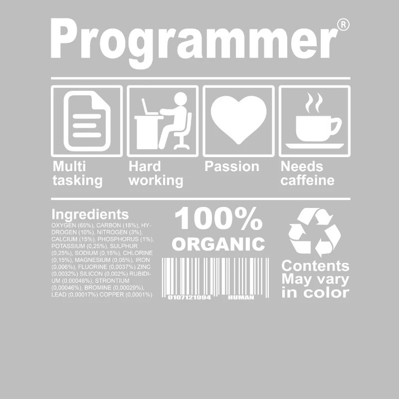 Programmer