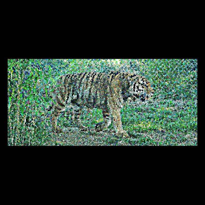 Le tigre sublime