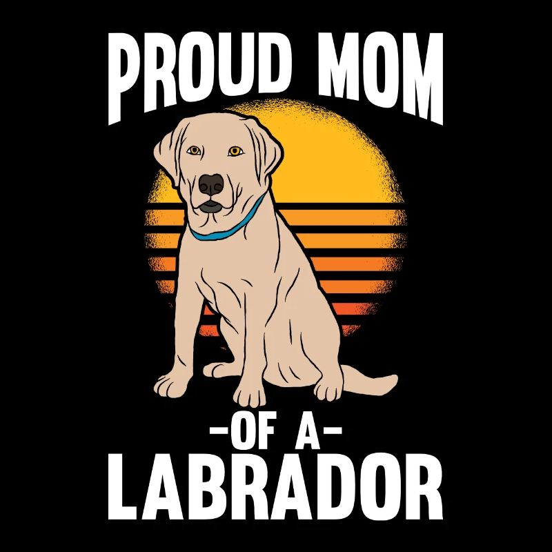 Labrador Hund Labrador Retriever