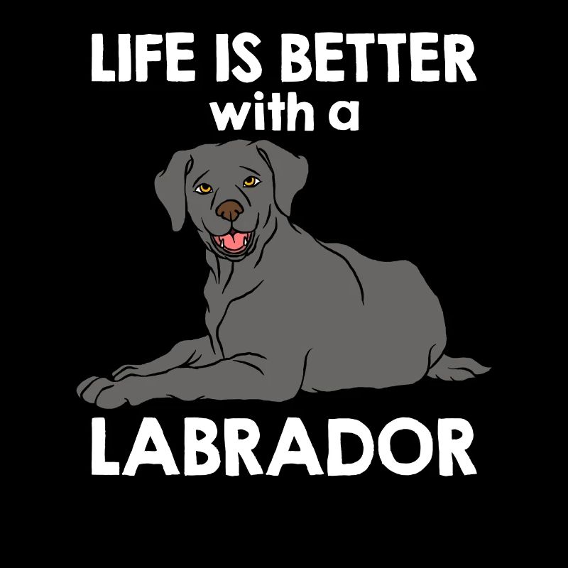 Labrador Chien Labrador Retriever