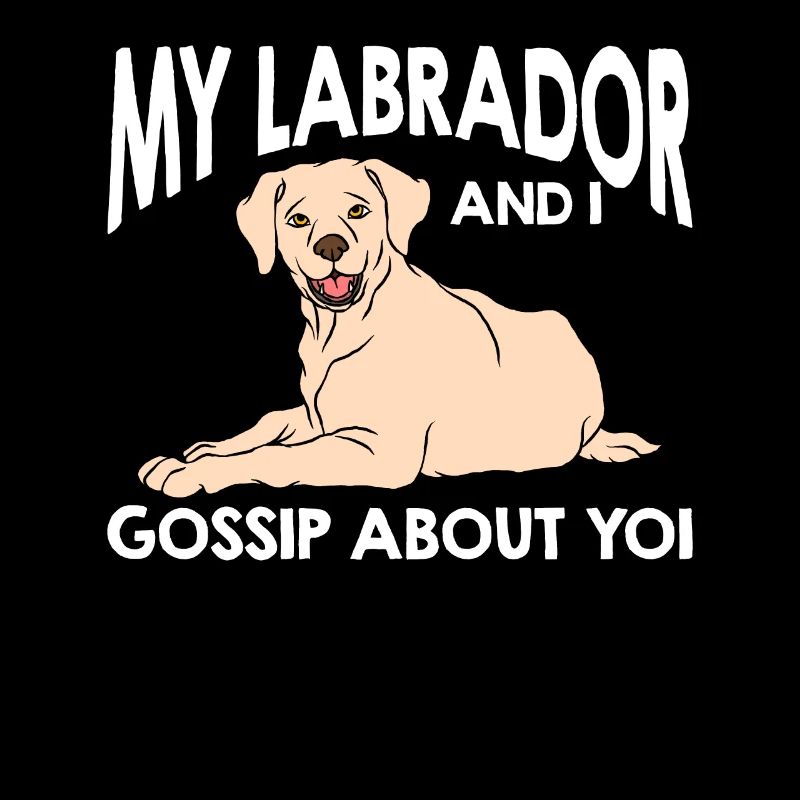 Labrador Hund Labrador Retriever