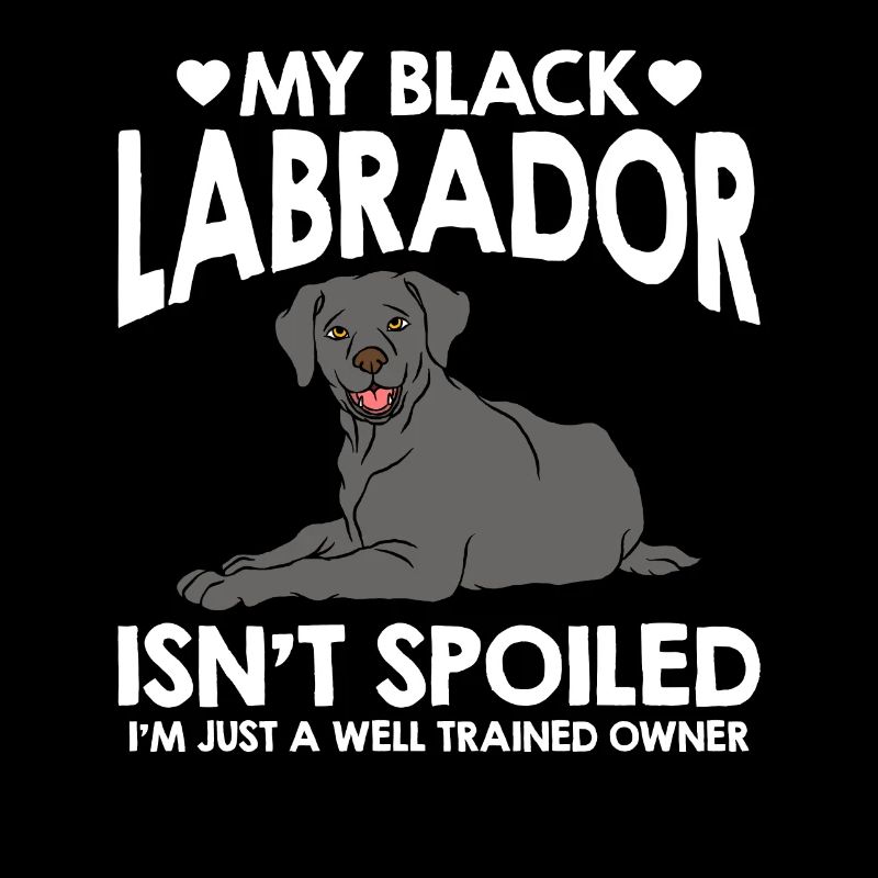 Labrador Hund Labrador Retriever