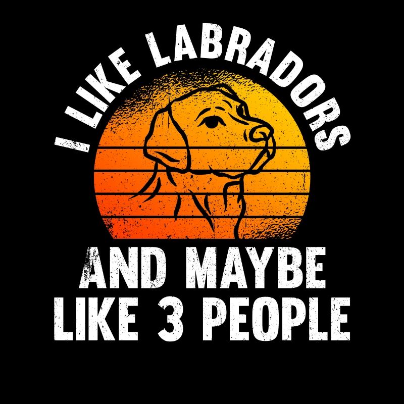Labrador Hund Labrador Retriever
