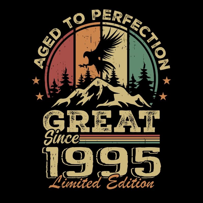 Vintage Geburtstag 1995 - 1995 Retro Geschenkidee