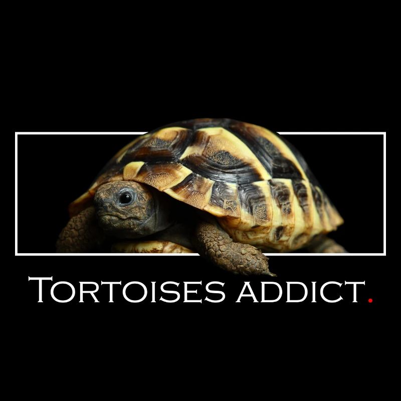 Schildkröten süchtig