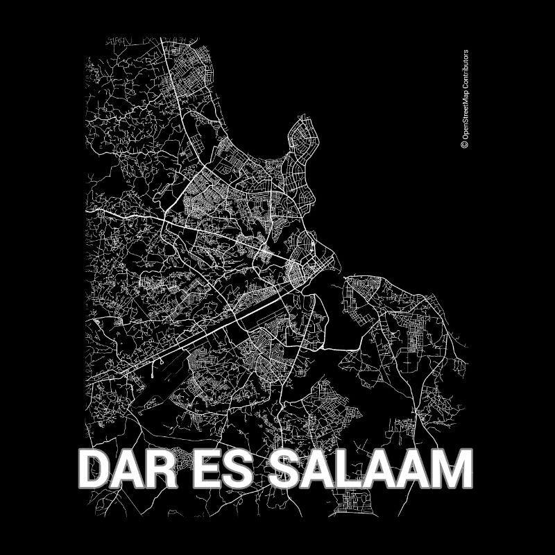 Plan et rues de la ville de Dar es Salaam