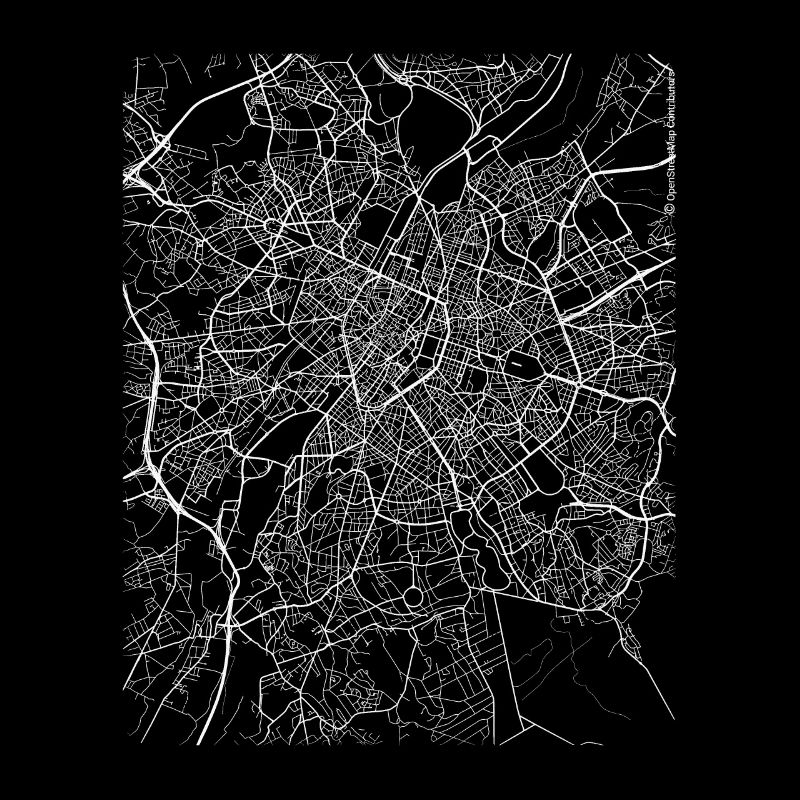 Minimal Brussels city map and streets