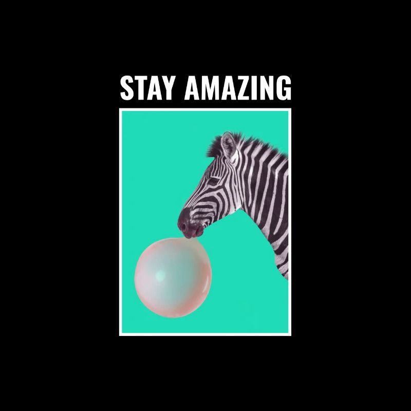 Stay Amazing bubble gum Zebra