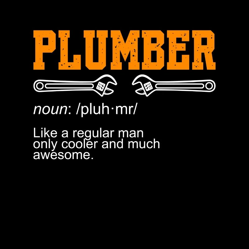 Plumber Noun Pluh Mr