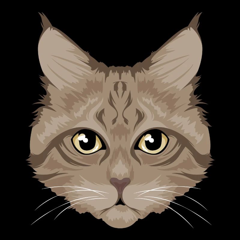 Chat / chat brun