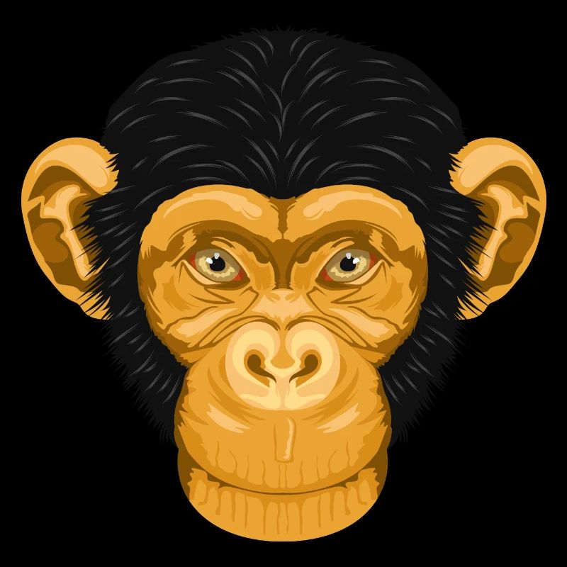 Affe Schimpanse Äffchen