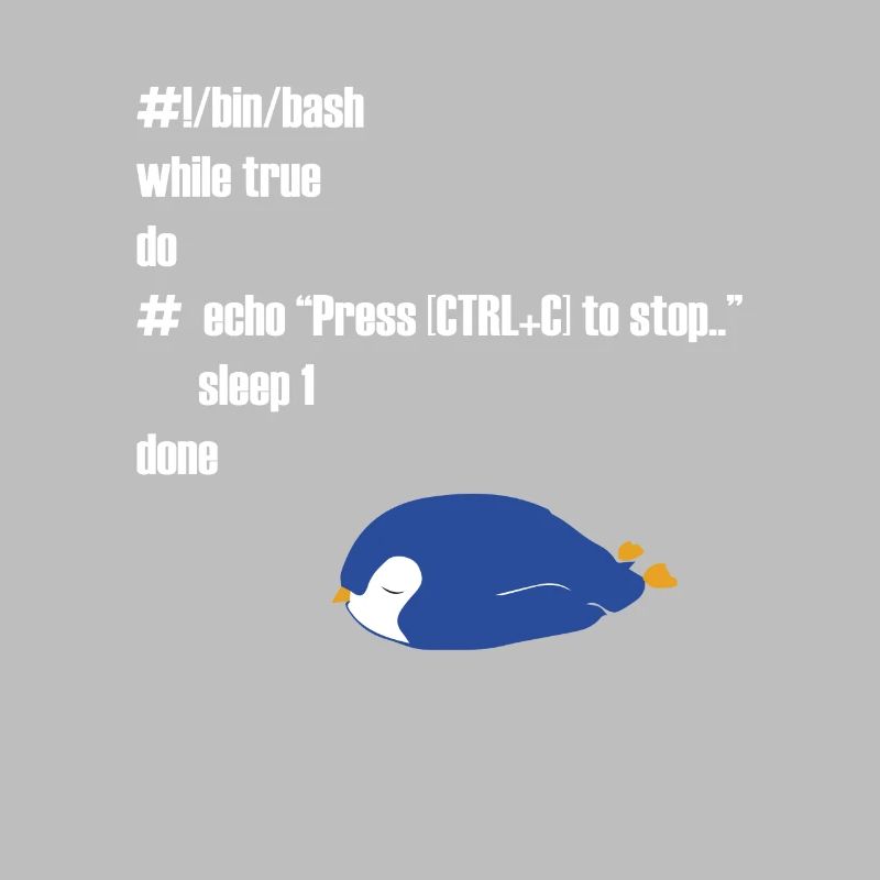 Lustiges Linux Programmierer Informatiker Geschenk