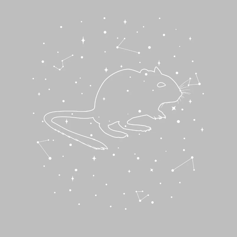 Sternbild Degu Constellation Strauchratte