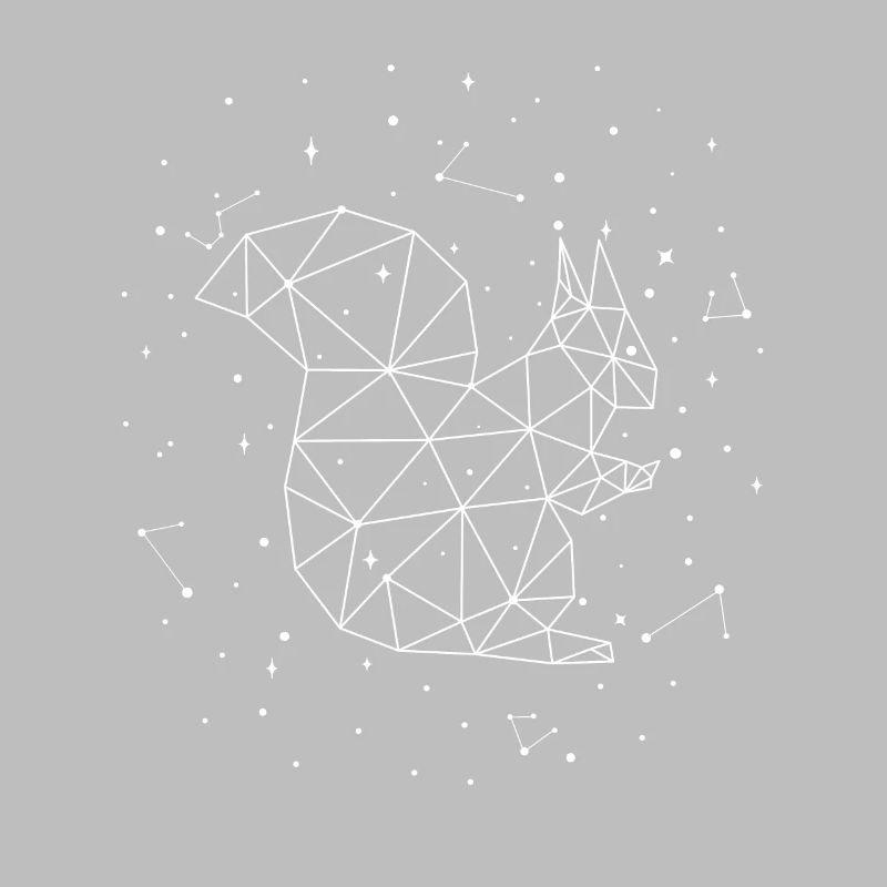 Constellation Squirrel Constellation Squirrel