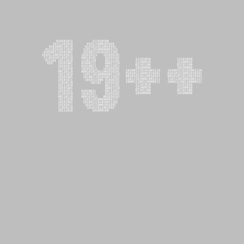 19++ Programmierer Softwareingenieur Coder 20.