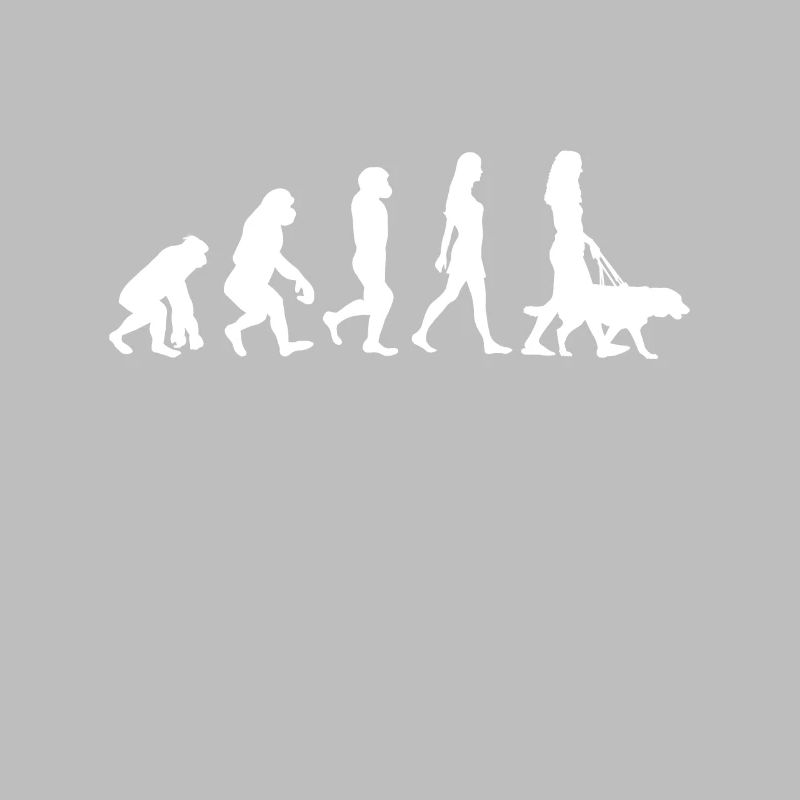 Chien chien evolution
