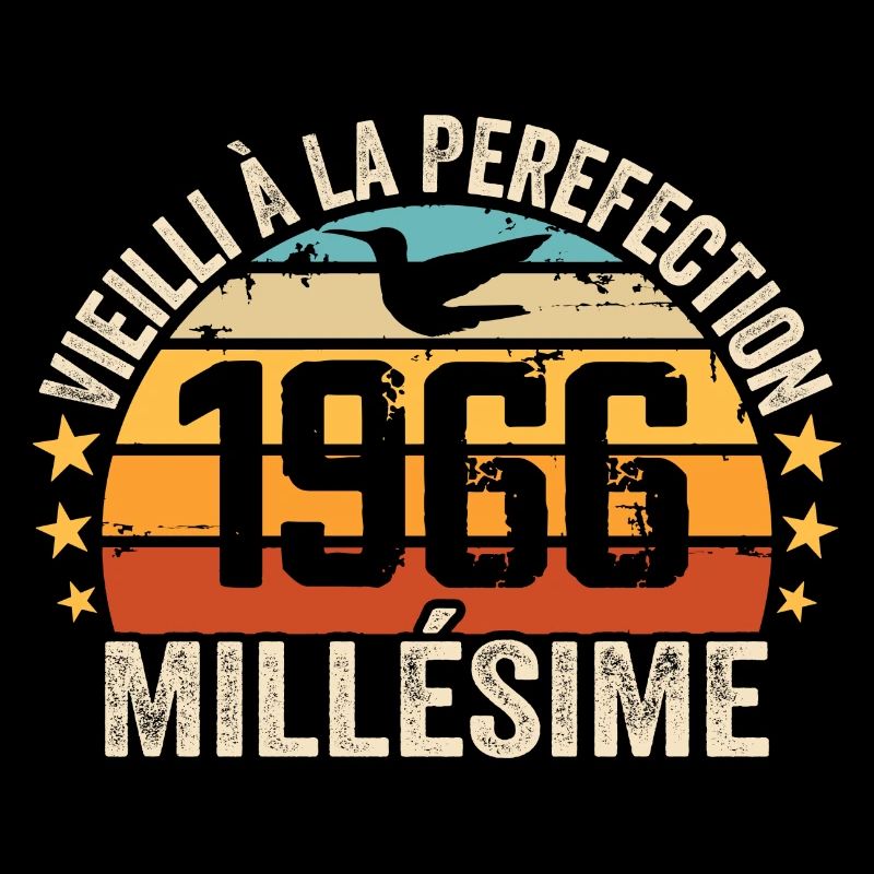Millésime 1966 Cadeau D’anniversaire Rétro 1966