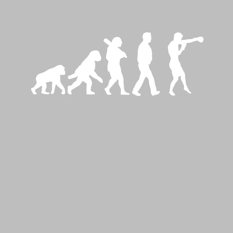 Evolution des Boxens