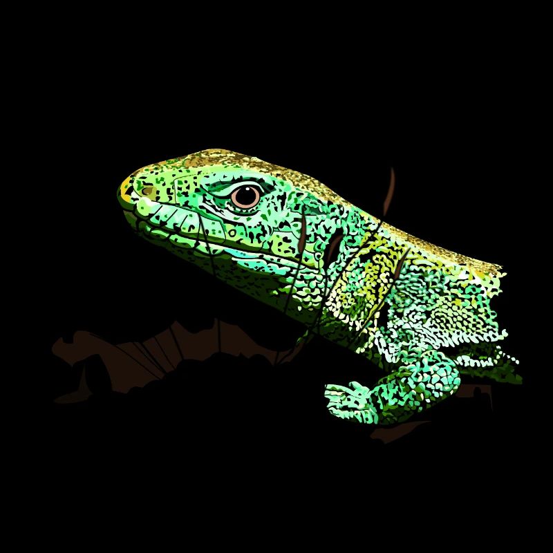 Eine Eidechse im Garten