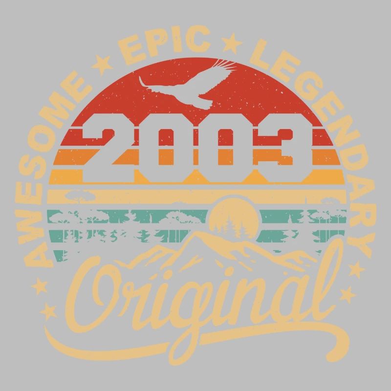 Original 2003 Retro 2003 Geburtstagsgeschenk 2003