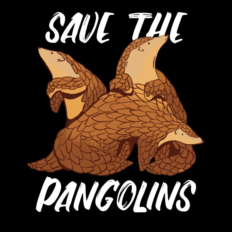 Pangolin Tier Pangoline vom Aussterben bedrohte Ar
