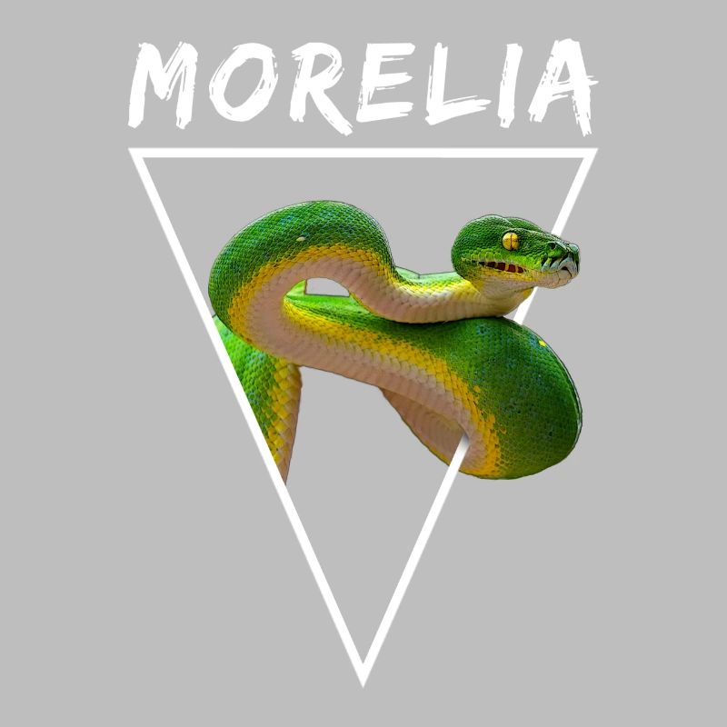 Arbre vert Python Morelia Viridis Propriétaire de serpent