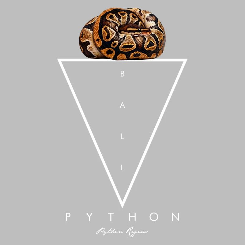 Ball Python Geometric Modern Snake Keeper