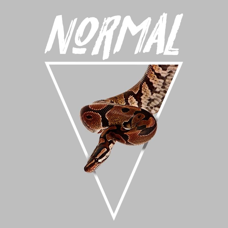 Normal Ball Python Morph Snake Owner
