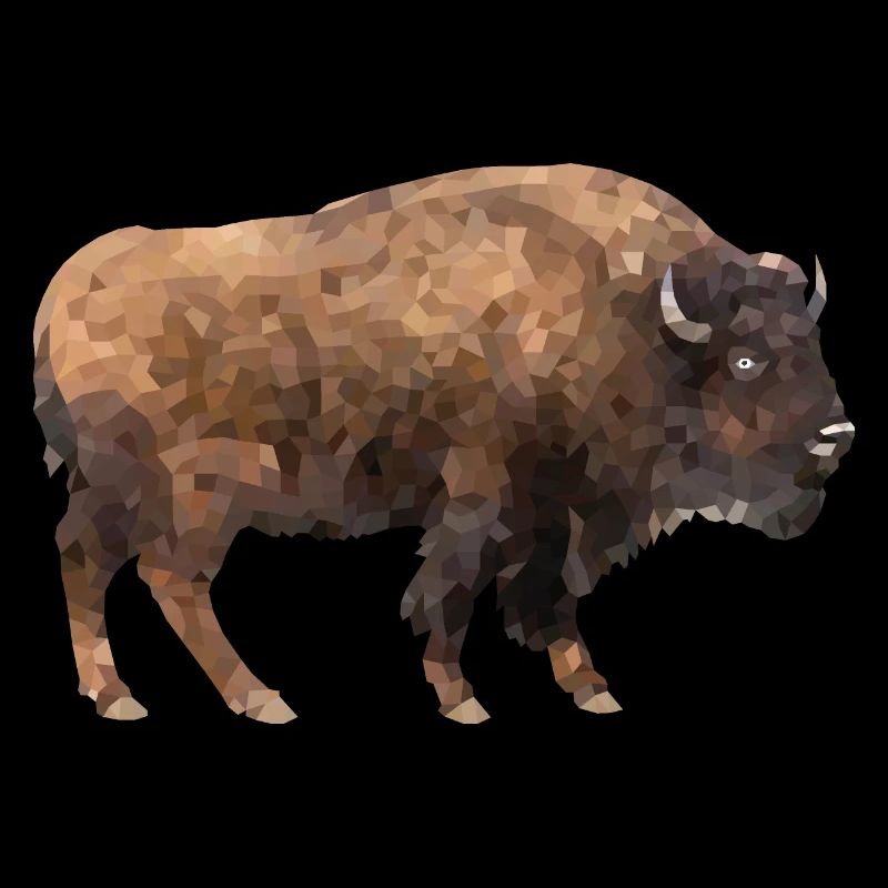 Bison